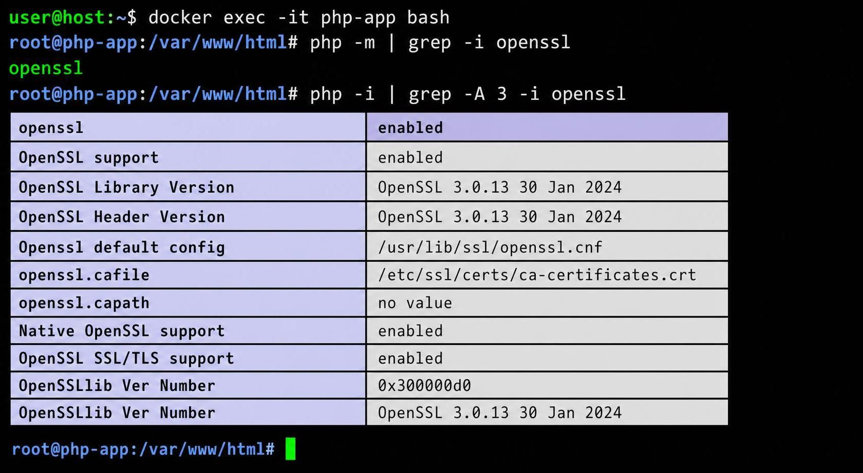 learn how to use phpmailer within a docker environment to send emails without relying on a local mail transfer agent (mta). step-by-step guide for seamless email integration.